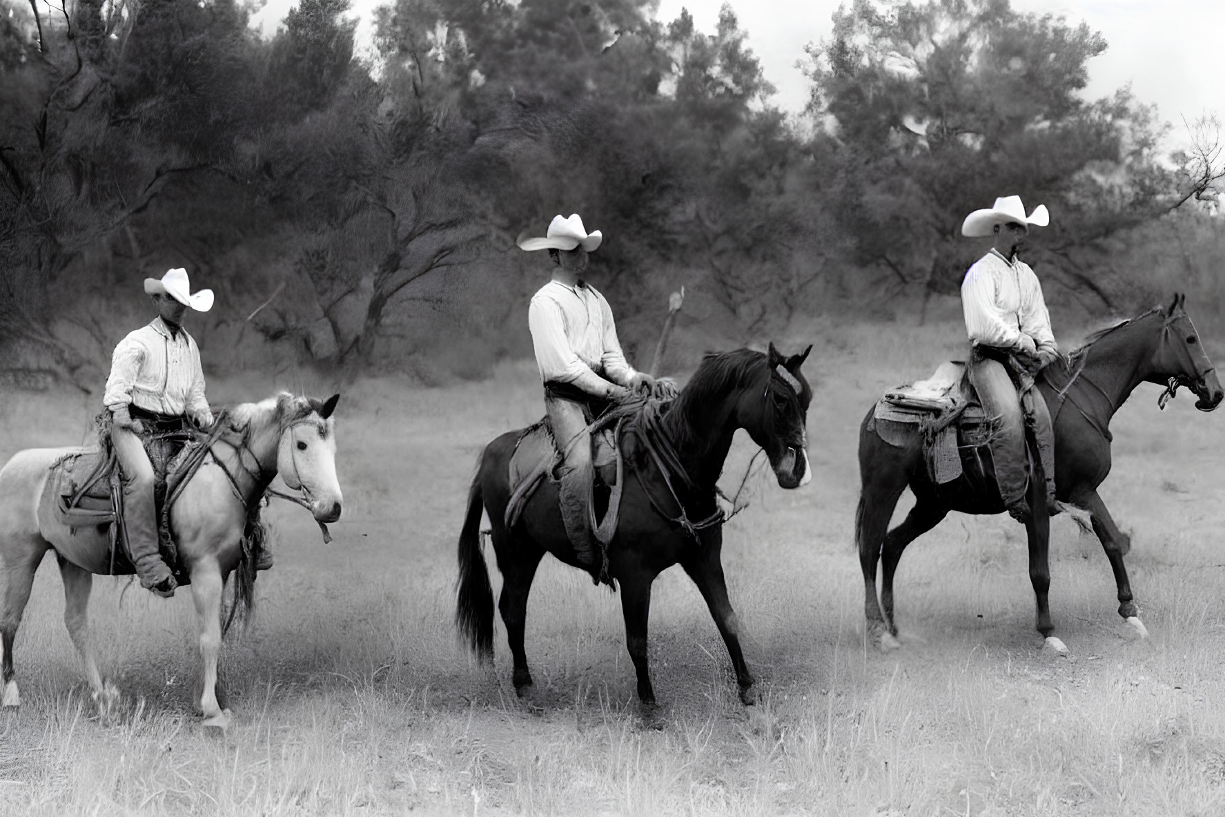 Cowboys on Horses in Traditional Western Attire