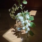 White flowers and nuts in vase on cloth - serene still life.