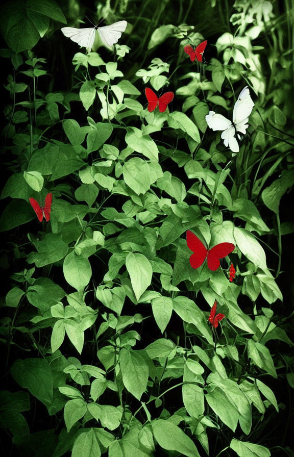 Green foliage with red and white butterflies in vibrant garden scene