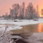 Snow-covered trees reflecting in river at sunrise or sunset