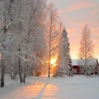 Serene winter landscape with snow-covered trees and sun rays piercing mist