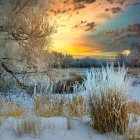 Winter Lake Sunset: Snow-covered Ground, Red House, Boat