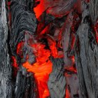 Mysterious cloaked figure in haunting forest under blood-red sky