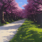Tranquil Path with Pink Cherry Blossom Trees