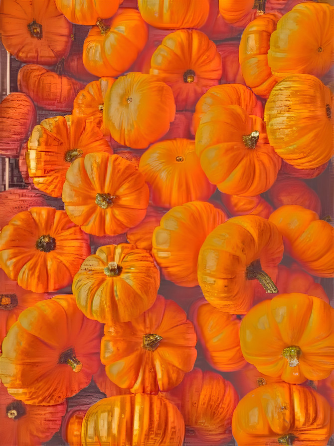 Pumpkin Season