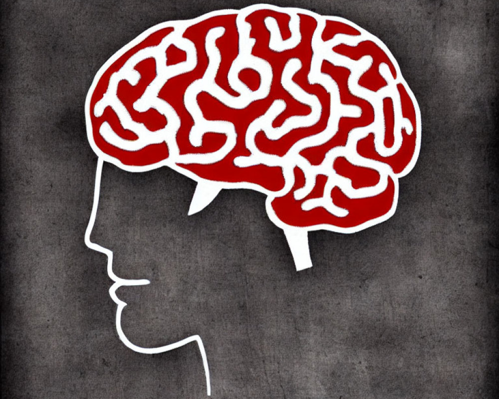 Human profile illustration with red brain on gray background