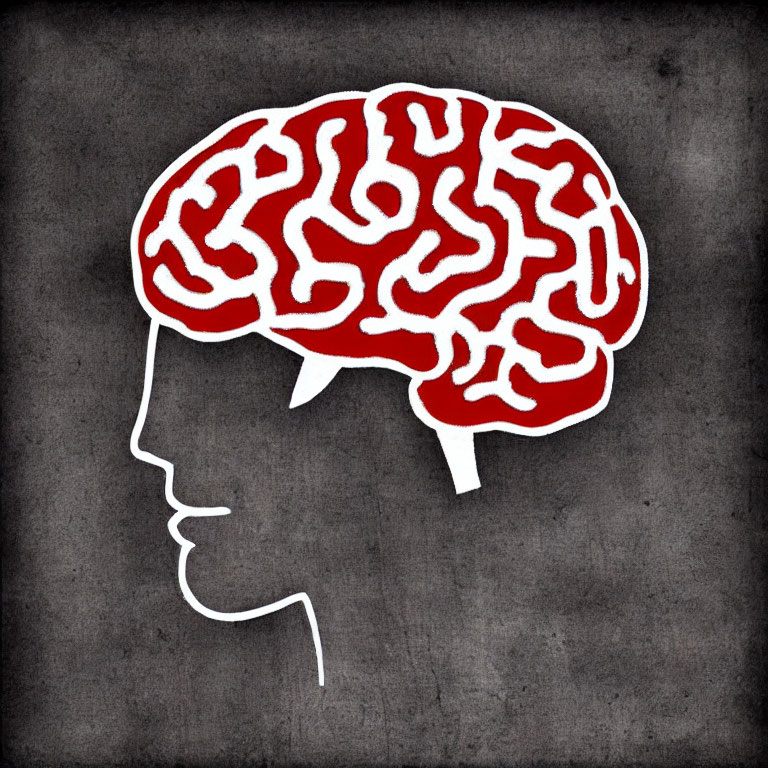 Human profile illustration with red brain on gray background