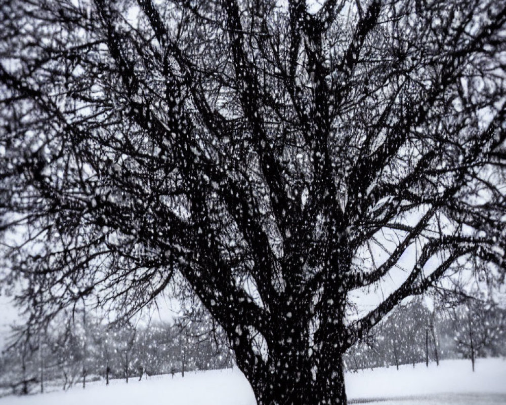 Snowy landscape with bare tree and falling snowflakes