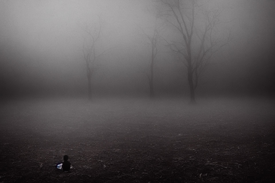 Solitary Figure in Dark, Foggy Landscape with Bare Trees