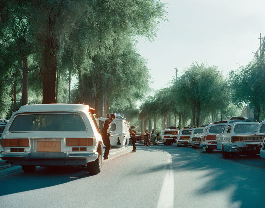 Classic Cars Lined Up on Tree-Lined Street