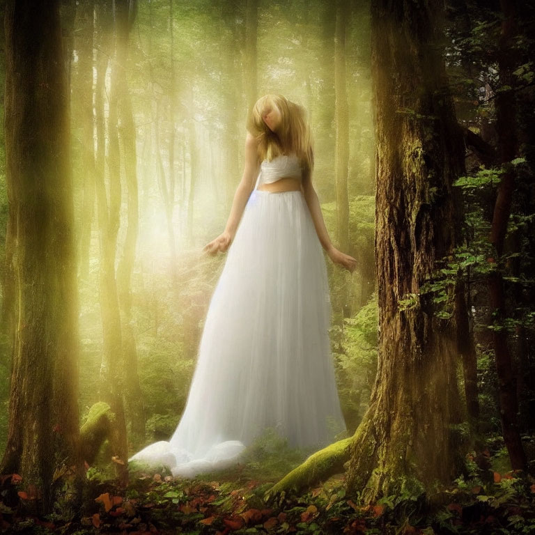 Woman in White Dress Contemplating in Sunlit Forest