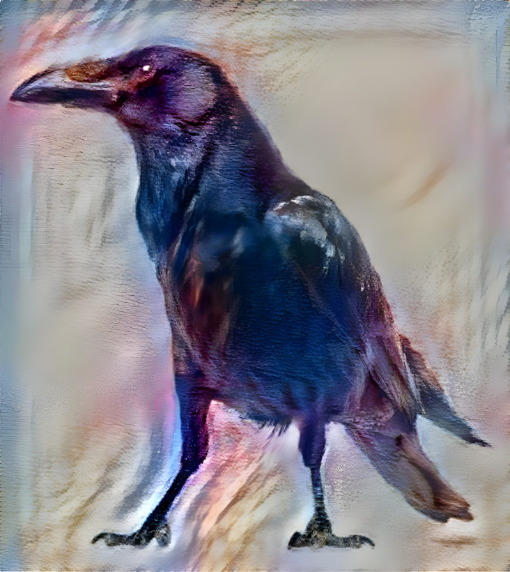 crow