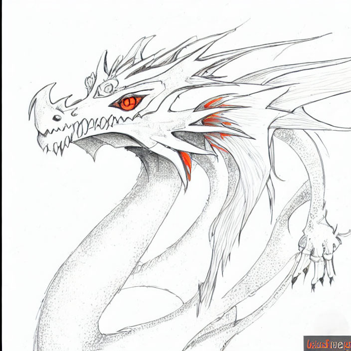 Detailed Dragon Sketch with Fierce Expression & Red Eyes