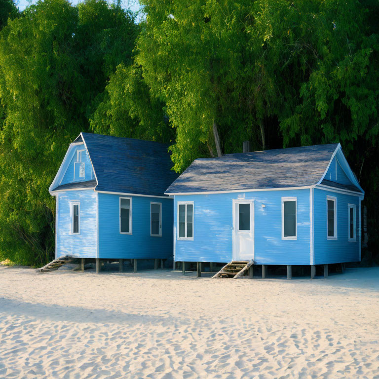 Blue Wooden Beach House on Stilts Amid Sand and Foliage