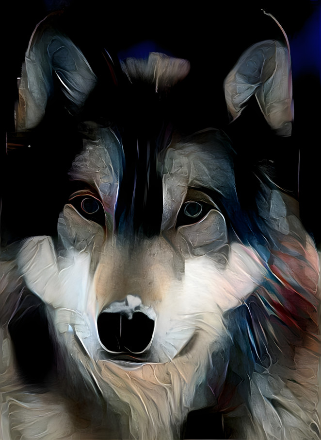 wolf