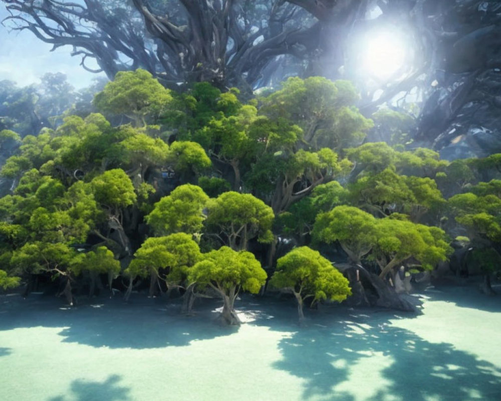 Lush forest scene with ancient tree and green canopies