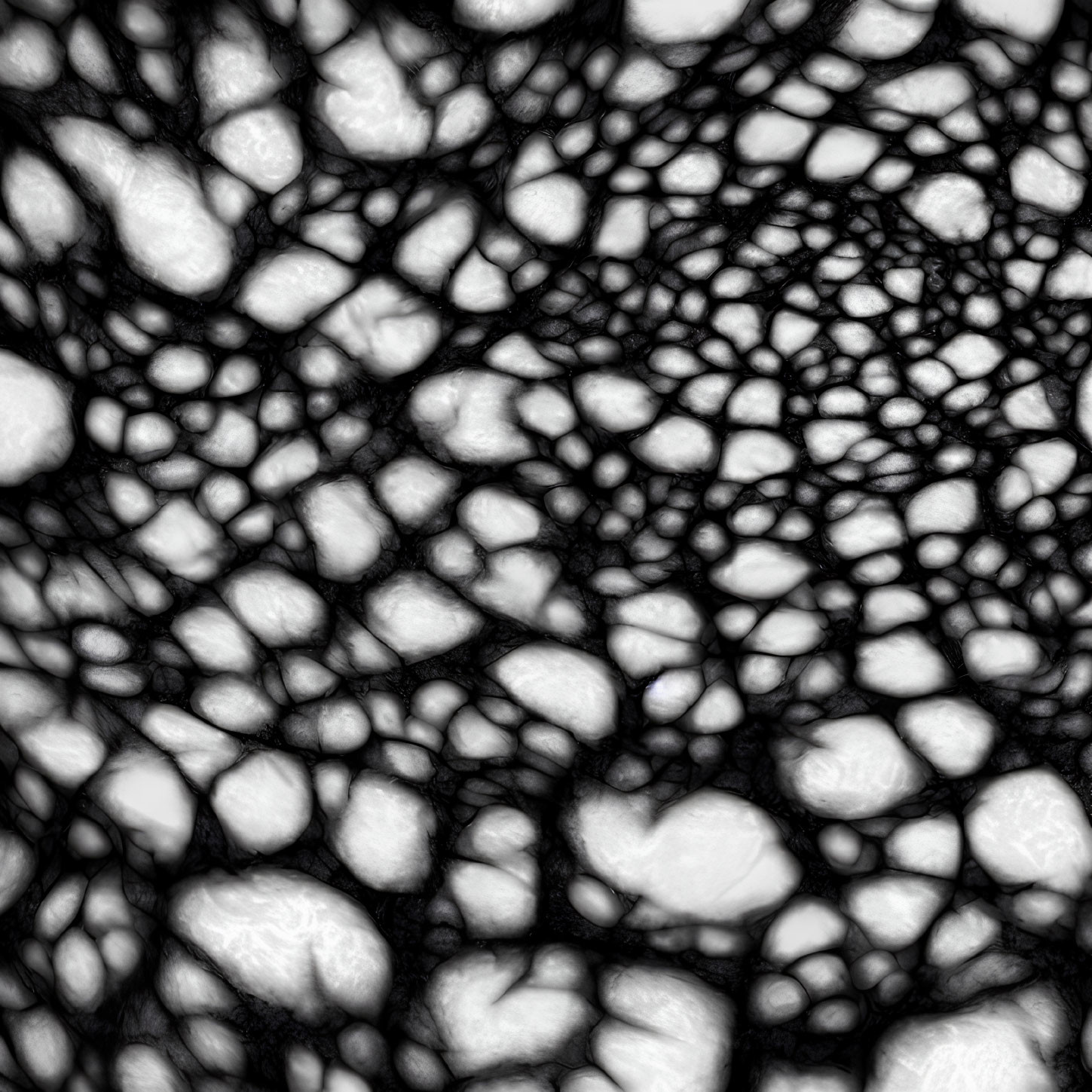 Detailed Close-Up of Interconnected Organic Shapes in Black and White