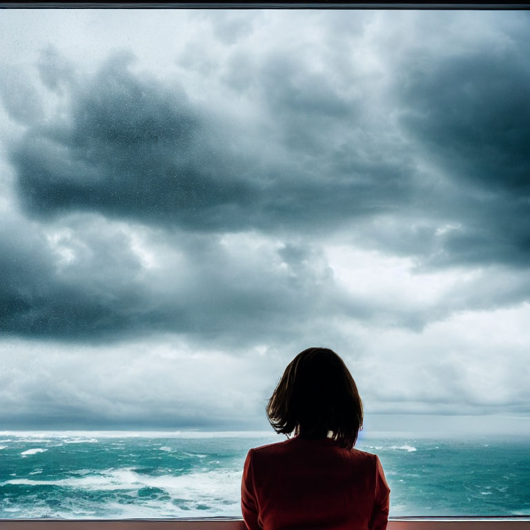 Person in Red Jacket Facing Stormy Sea and Sky