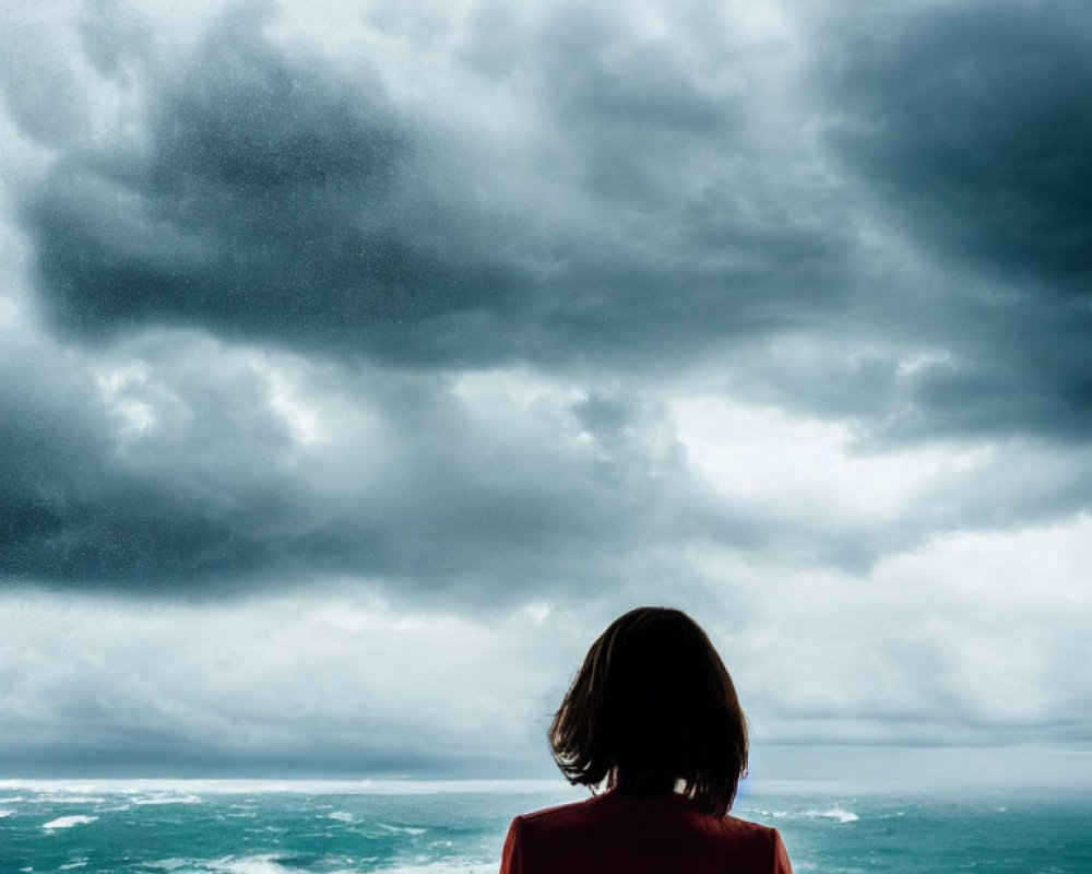 Person in Red Jacket Facing Stormy Sea and Sky