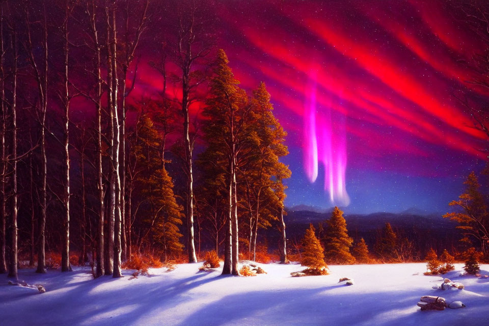 Snow-covered landscape with evergreens under aurora borealis