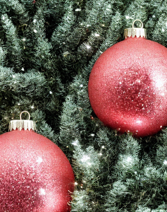 Frosty Green Fir Tree Decorated with Red Christmas Baubles