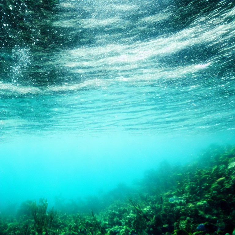 Underwater seascape with light rays and coral reef.