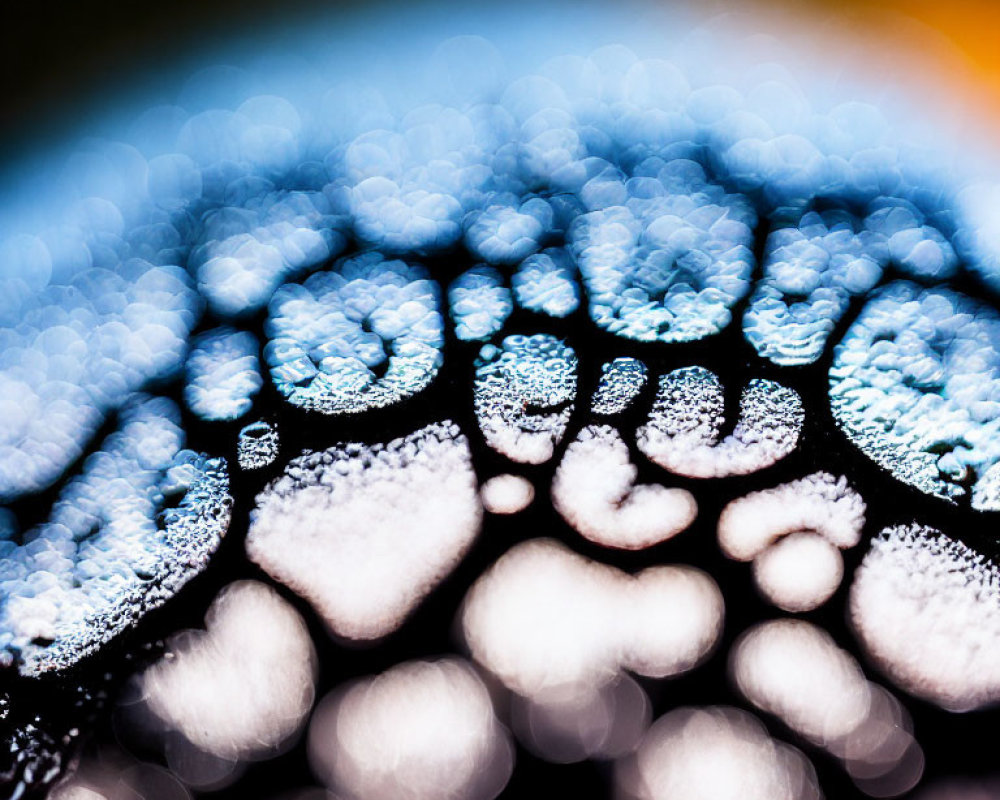 Water droplets creating abstract patterns with bokeh effect in gradient colors