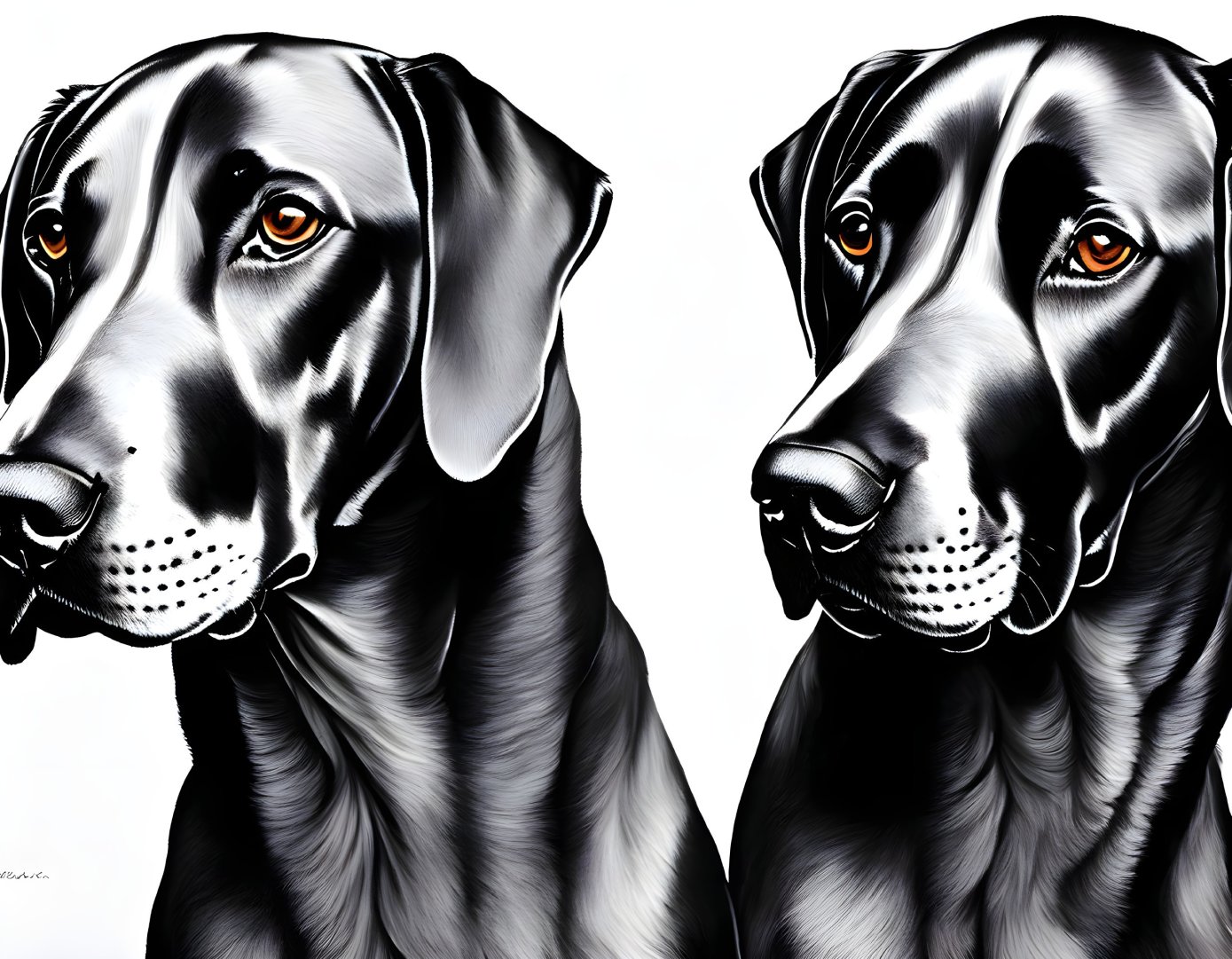 Detailed Artistic Black Labrador Dog Portraits with Orange Eyes on White Background