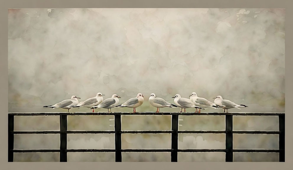 Seven Seagulls Perched on Railing with Blurred Background