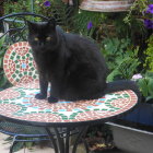 Colorful Painting of Patterned Cat on Ornate Table with Flowering Plants