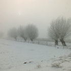 Snow-covered trees, frozen river, sled, duck in serene winter landscape