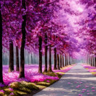 Pink and Purple Flowering Trees in Enchanted Pathway