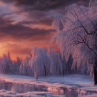 Snow-covered trees in serene winter sunset landscape.