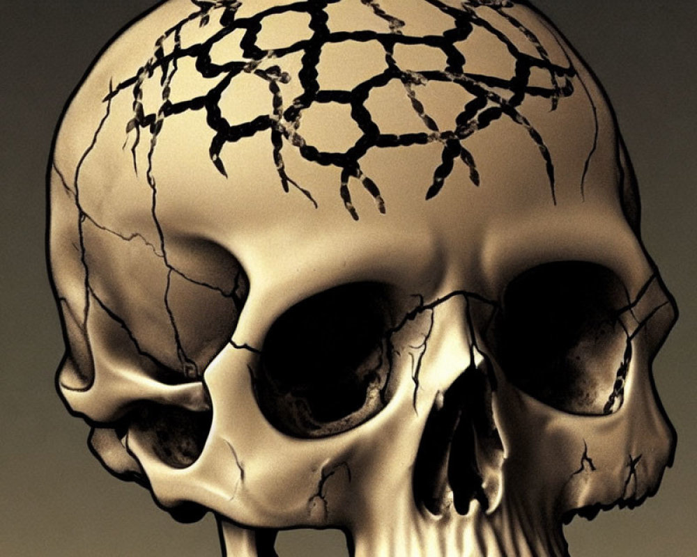 Detailed human skull illustration with textured cracks on sepia background