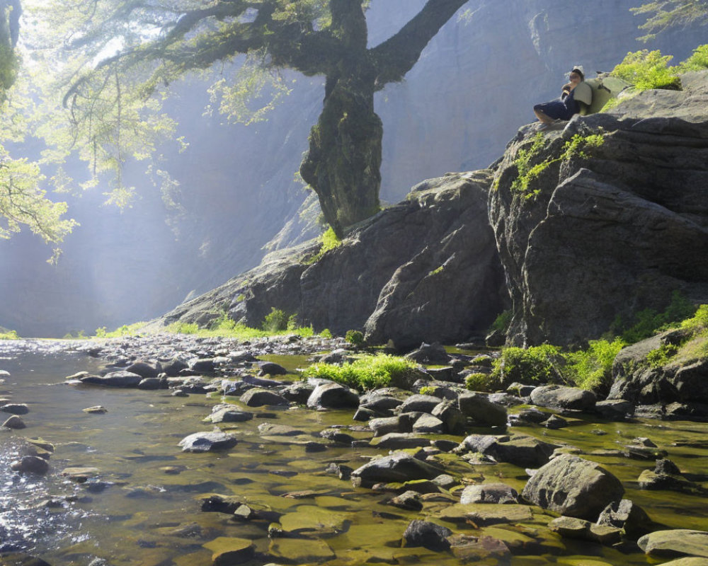 Person sitting on large rock by serene river with sunlight filtering through trees