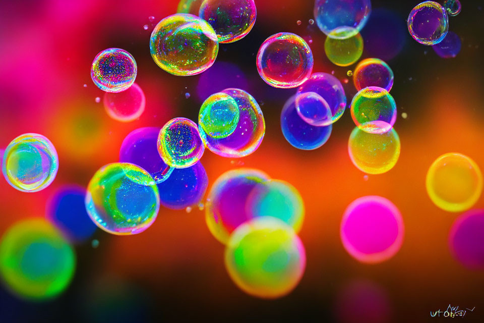 Colorful soap bubbles on multicolored bokeh background