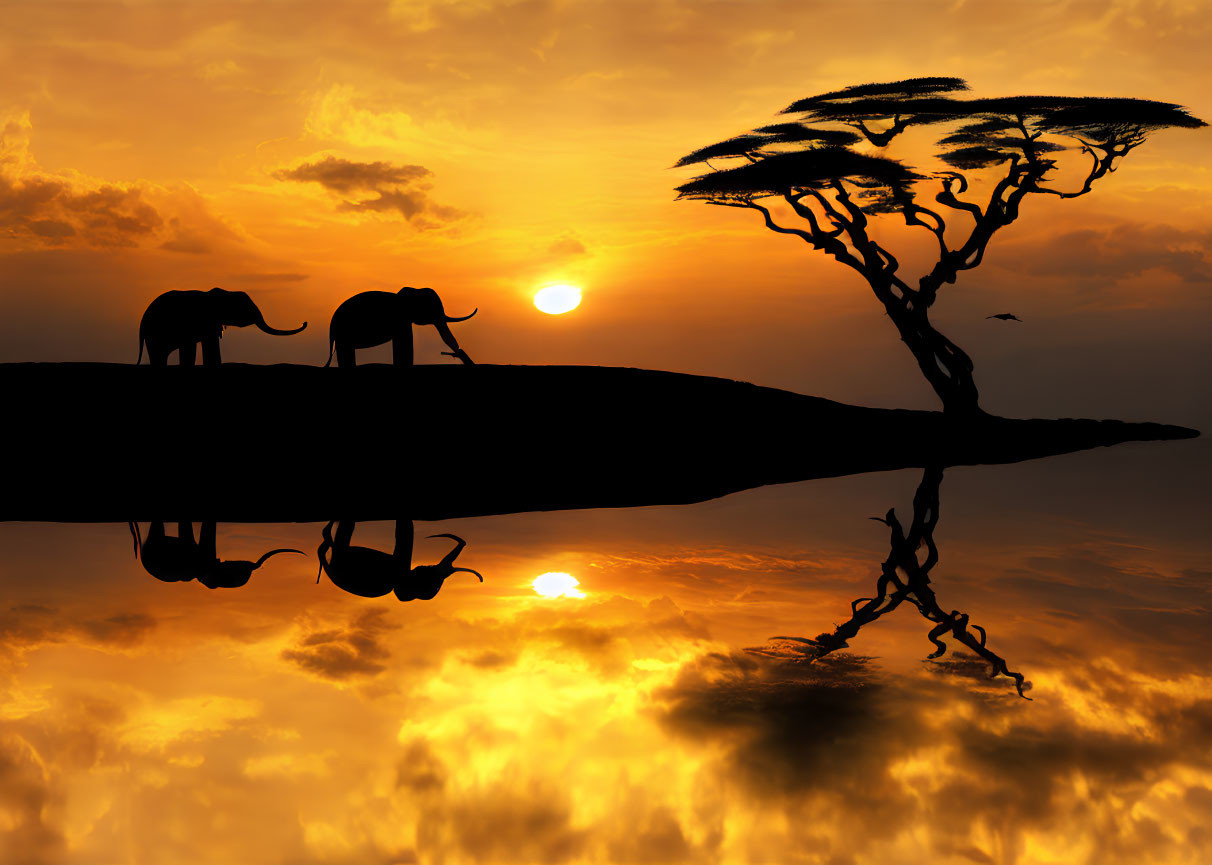 Elephants on Cliff with Tree Silhouette at Sunset