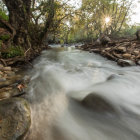 Tranquil forest river scene with misty water and autumn trees