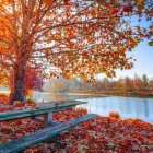 Couple on wooden pier under autumn tree by calm lake