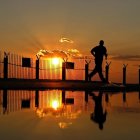 Silhouetted person running with dogs at sunset over water and fence.