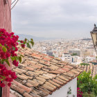 Colorful Village and Pink Flower Field by Waterfront under Soft Cloudy Sky