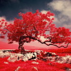 Surreal landscape with vibrant red and orange foliage under pinkish-red sky