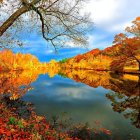 Vibrant landscape with lake, boats, flowers, cottages, mountains