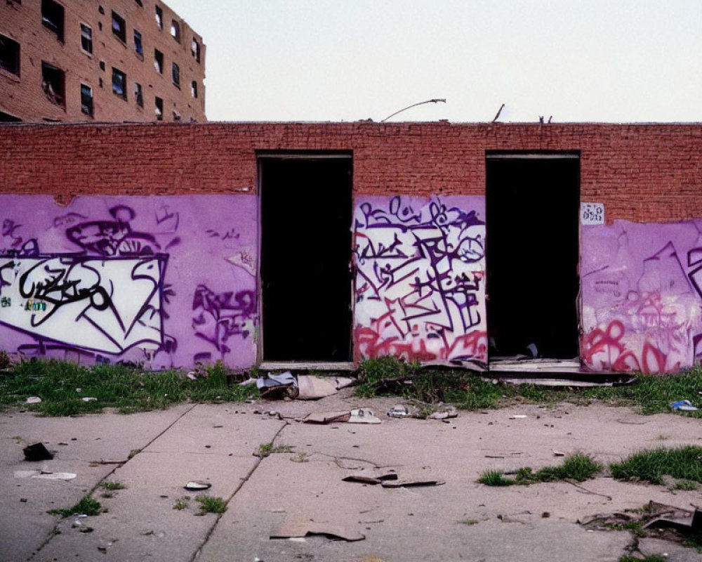 Weathered urban brick wall with purple paint and graffiti tags by dark doorways