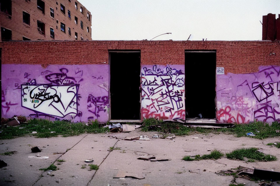 Weathered urban brick wall with purple paint and graffiti tags by dark doorways