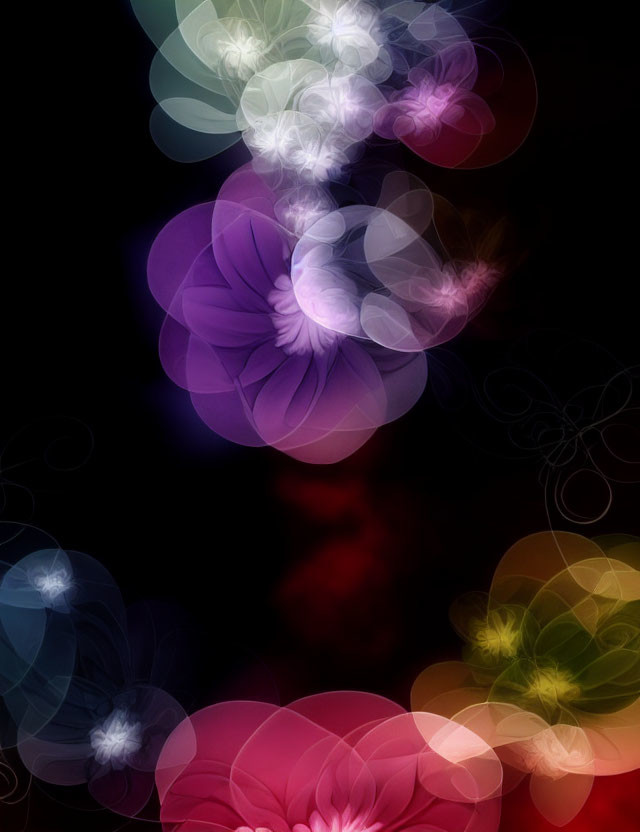 Multicolored swirling light patterns on dark background