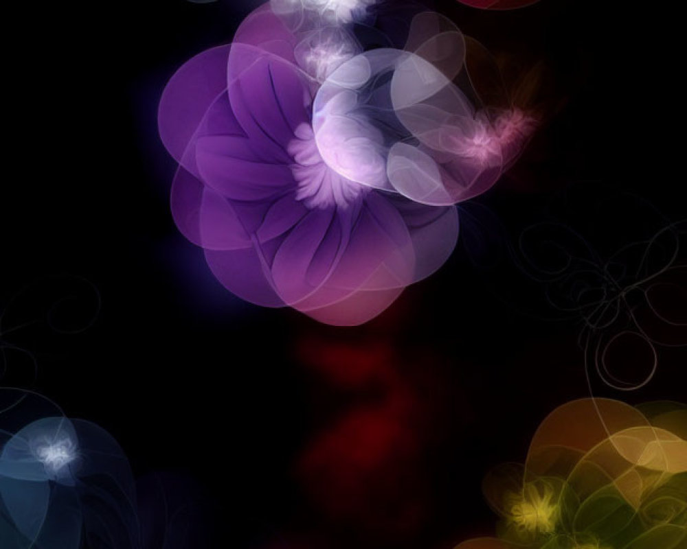 Multicolored swirling light patterns on dark background