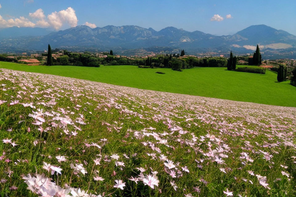 Scenic landscape with pink flowers, green meadow, and distant mountains