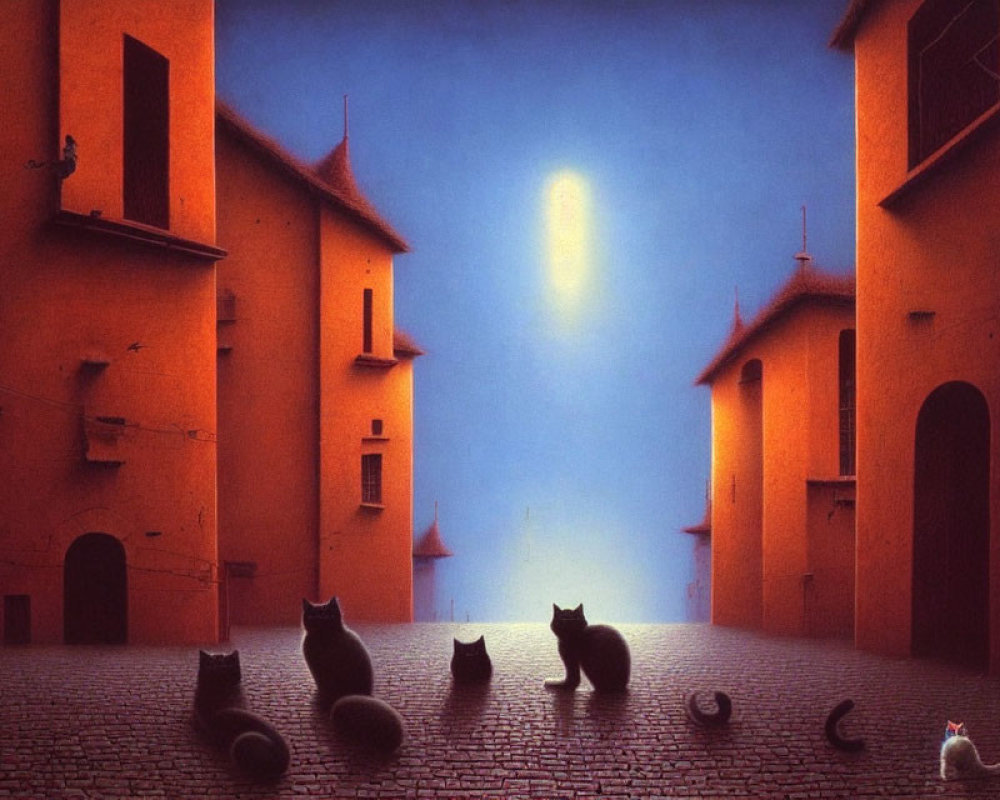 Six Cats on Cobblestone Street Between Orange Buildings with Hazy Light