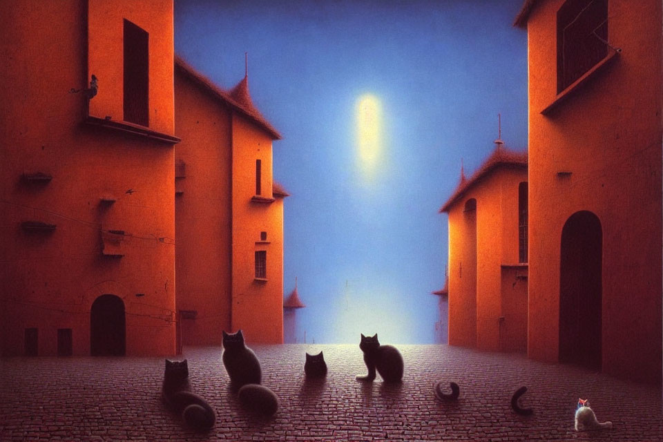 Six Cats on Cobblestone Street Between Orange Buildings with Hazy Light